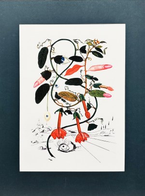 Salvador DALI (1904-1989), Flordali: Cobea - Pisum Sensuale (Zmysłowy groszek)