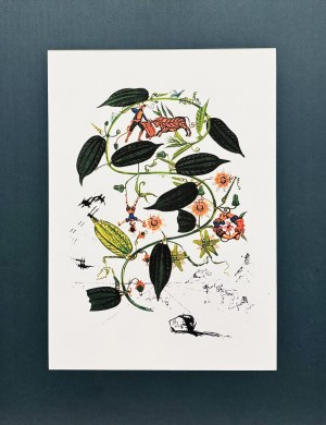 Salvador DALI (1904-1989), Flordali: Passiflora Laurigera