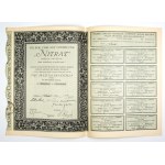 NITRAT, Chemical Works, Joint Stock Company [...]. Five bearer shares of the 1st issue at 500 marks each.
