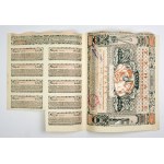 TEHATE. Society for Trade, Industry and Agriculture S. A. in Warsaw. Stock for one thousand marks to the bearer [...].