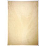 JODŁOWSKI Tadeusz - 1000th anniversary of the Polish State. [1966].