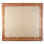[CZARNOKOZIŃCE]. Czarnokozince on the Zbrucz River (Podolia Governorate). Tinted lithograph, 19.7 x 28 cm,...
