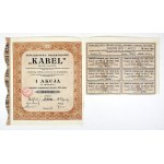 KABEL, Industrial Society. 1 bearer share with a par value of 100 zlotych.