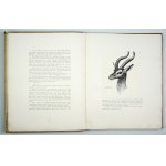 POTOCKI, J. – Hunting Notes from Africa. Somalia. With 18 photogravures by P. Stachiewicz....