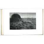 POTOCKI, J. – Hunting Notes from Africa. Somalia. With 18 photogravures by P. Stachiewicz....