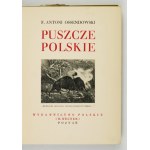 Zobacz podobne