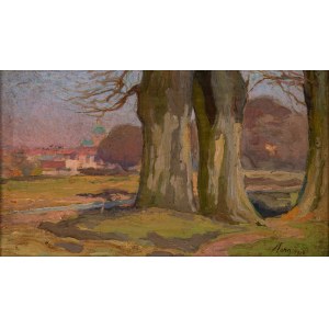 Aleksander Mann (1869 - 1929), Park w Wilanowie