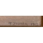 Teodor Ziomek (1874 - 1937), Zmierzch
