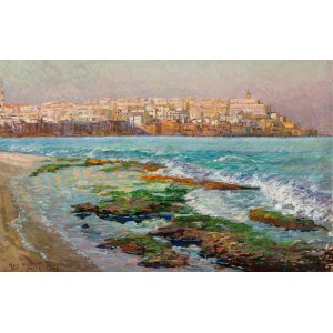 Max Haneman (1882 - 1944), Port w Jaffie