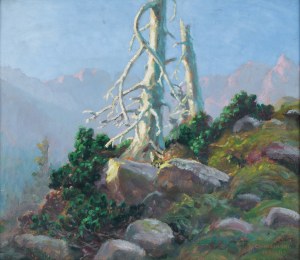 Zefiryn Ćwikliński (1871 - 1930), 