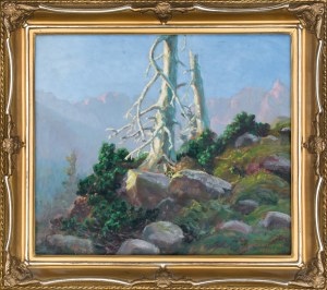 Zefiryn Ćwikliński (1871 - 1930), 