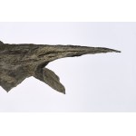 Magdalena Abakanowicz (1930-2017), Ptak II, 2008