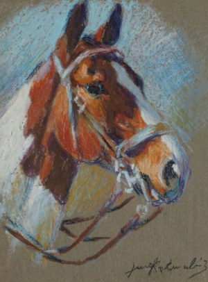 Painter unrecognized