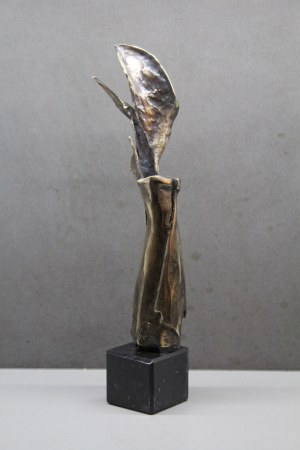 Krystyna Nowakowska, Angel, 2025