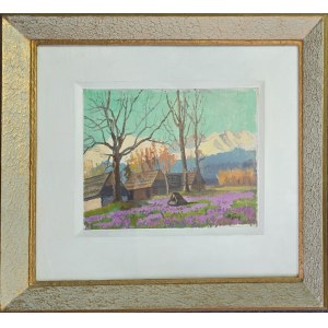 Franciszek Wójcik (1903-1984), Krokusy na hali