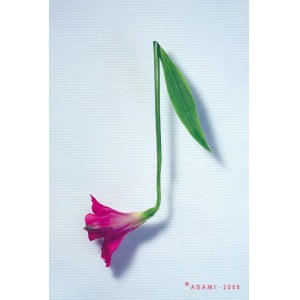 Michał Batory (ur. 1959), Adami, 2008 (podpisany)