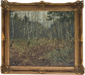 Fritz Wildhagen (1878-1956), Birchwood