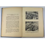 Księga Pamiątkowa Powstań i Plebiscytu na Śląsku. W piętnastolecie czynu nieznanego powstańca śląskiego 1919-1934 - Katowice 1934