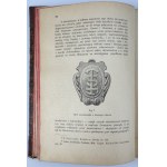 ŁOZIŃSKI Władysław - Patrycyat i mieszczaństwo lwowskie w XVI i XVII w. - Lwów 1890 [z 73 rycinami, oprawa Getritz Lwów]