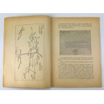 19 Pułk Piechoty Odsieczy Lwowa - Zarys Historii Wojennej Pułków Polskich - Warszawa 1928