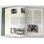 Sitwa. Zgrupowanie Wileńskiej Brygady Żubrów - Rzym 1943-44 [rzadkie]