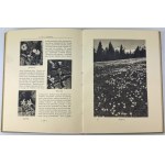 MALCZEWSKI Rafał - Tatry i Podhale - Poznań 1935