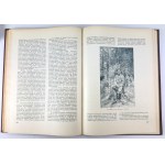 Ilustrowana Historia Wojny Światowej 1914-1920 - Warszawa 1931 [t.I-II]