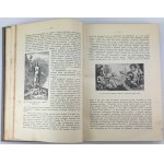 BIEGELEISEN Henryk - Ilustrowane dzieje literatury polskiej - Wiedeń 1898