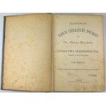 BIEGELEISEN Henryk - Ilustrowane dzieje literatury polskiej - Wiedeń 1898