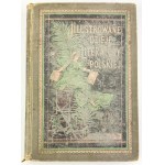 BIEGELEISEN Henryk - Ilustrowane dzieje literatury polskiej - Wiedeń 1898