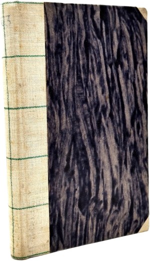 Lie Jonah - Ideologue - a Norwegian novel, Warsaw 1900