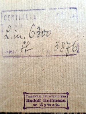 Truchim Stefan - At the court of Augustus the Strong , Poznań 1925 [ Stamp of Introligator Rudolf Hoffmann Żywiec ].