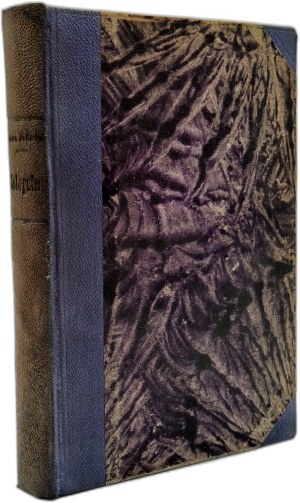 Teresa Jadwiga - a novel for young people by Gabryel -, Warsaw 1906 [ Illustrations by K. Gorski ].