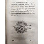 Wiślicki Józef Mikołaj - Zborowscy - obraz z domowego życia Polaków w drugiej połowie XVI wieku, Warszawa 1843 [ Ekslibris Hrabia Wincenty Walewski ]