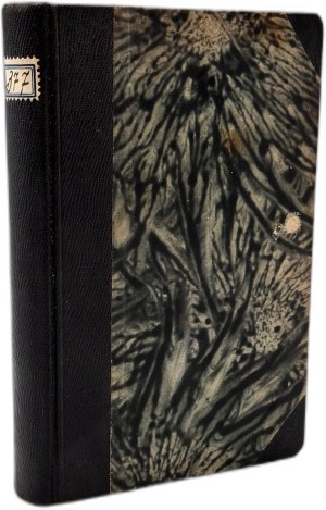 Canossa - a historical novel from the time of Gregory VII, translated by J. Echaust, Volume II, Pelplin 1873