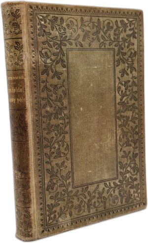 Tarnowski Stanisław - Studia do Hist. Lit. Polskiej, wiek XIX - Henryk Sienkiewicz- Kraków 1897