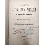 Chmielowski Piotr - Zarys Literatury polskiej z ostatnich lat dwudziestu, Kraków 1886