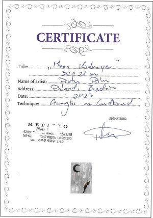 Piotr Piskorz, The One Who Stole the Moon