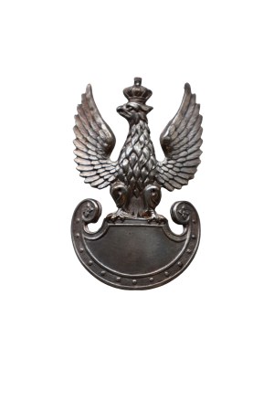 Poland PSZnZ eagle