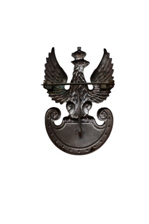 Poland PSZnZ eagle