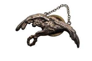 Pilot badge 