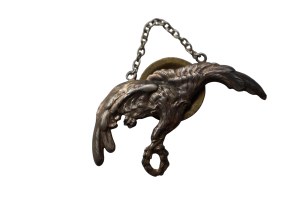 Pilot badge 