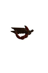 1st Rifle Brigade