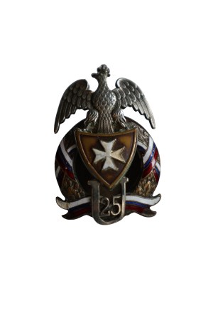 Badge of the 25th Regiment of Ulans Wlkp PSZnZ.