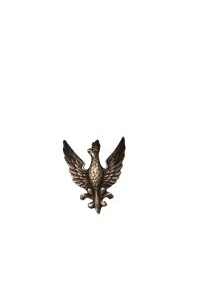 Eagle patch