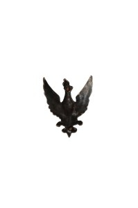 Eagle patch