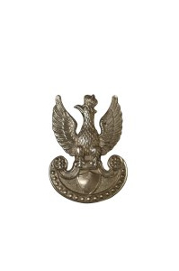 PSZnZ eagle