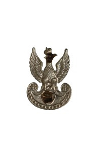 PSZnZ eagle