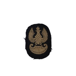 Embroidered Eagle