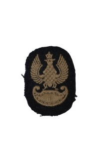Embroidered Eagle